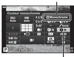 Couleur monochrome ISO Auto WB auto A ± 0 G ± 0 S-AF ± 0,0 S-4S On M-4S Monochrome Normal N 4K 250 F5.6 102.03 102.23