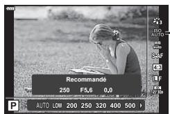 Recommendé 250 F5,6 0,0 AUTO LOW 200 250 320 400 500