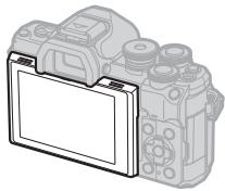 OLYMPUS OM-D E-M10 MARK IV - Prise de photos en mode Auto portrait - 1
