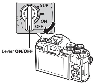 UP ON OFF Levier ON/OFF