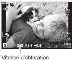 S 250 F5.6 +0.3 1:02:03 1023 Vitesse d'obturation
