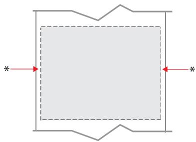 ZEBRA ZQ620 - Zones interdites - 2