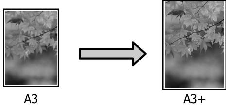 EPSON SC-P5000 STD - Agrandissement/ réduction de l'impression - 2