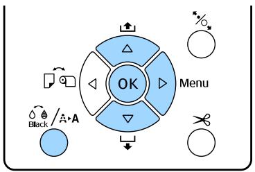 EPSON SC-P5000 STD - Depuis l'imprimante - 1