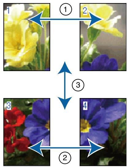 EPSON SC-P5000 STD - Assemblage de la sortie papier - 1