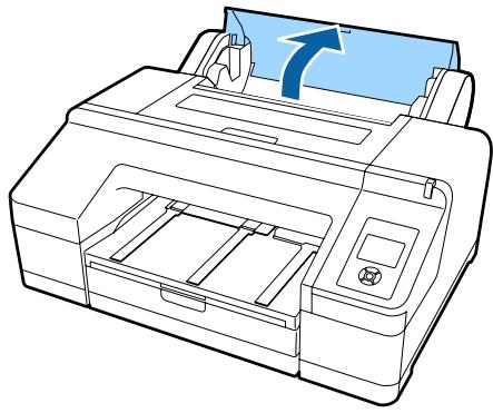 EPSON SC-P5000 STD - Important : - 1