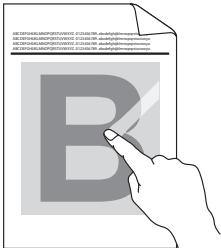 BROTHER HL-B2080DW - IMPORTANT - 19