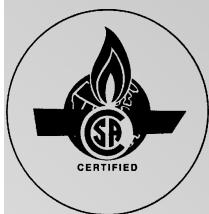 VIESSMANN VITODENS 100 - VITODENS 100-W - 3