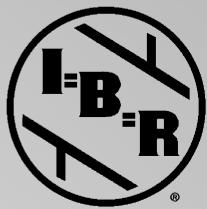 VIESSMANN VITODENS 100 - VITODENS 100-W - 5