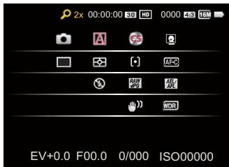 KODAK S1 - Mode: PSAMSCNCS - 4