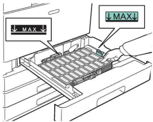 XEROX C8000V - Chargez les étiquettes dans le magasin. - 2