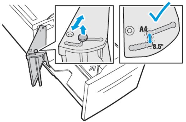 XEROX C8000V - Papier et supports - 1