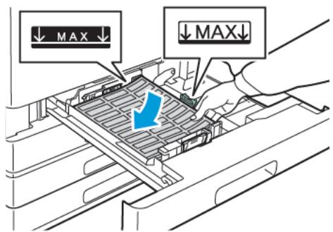 XEROX C8000V - Chargez les étiquettes dans le magasin. - 1