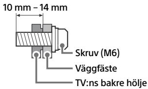 10 mm - 14 mm Skruv (M6) Väggfäste TV:ns bakre hölje