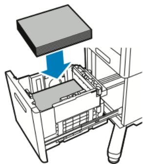 XEROX C500V - Chargement de papier dans le chargeur hautecapacité (HCF) - 3