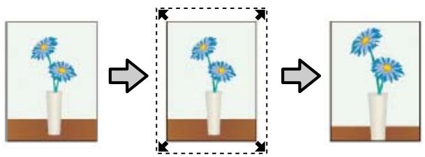 EPSON SC-P5000 - Variétés d'impression - 1