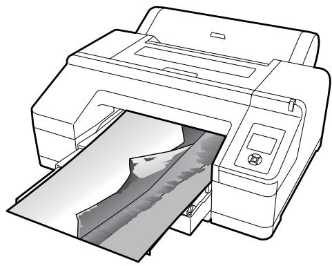 EPSON SC-P5000 - Impression de bannières (sur papier rouleau) - 1