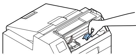 EPSON COLORWORKS CW-C6000PE - Pour le modele dérouleur - 4