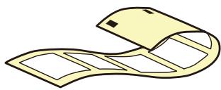 EPSON COLORWORKS CW-C6000PE - Papier pour étiquettes (avec adhésif) - 6