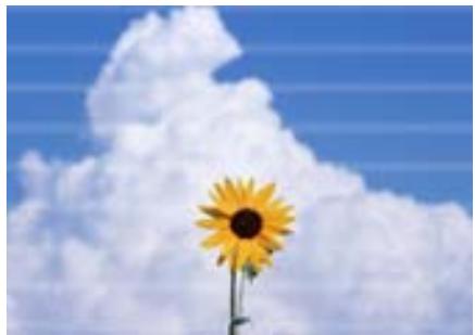 EPSON COLORWORKS CW-C6000PE - Guide de l'utilisateur - 5