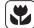 AEG DVB3850B - 942 150 538 - x_1 = 2,x_2 = - 4 - 3