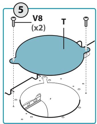 5 V8 (x2) T