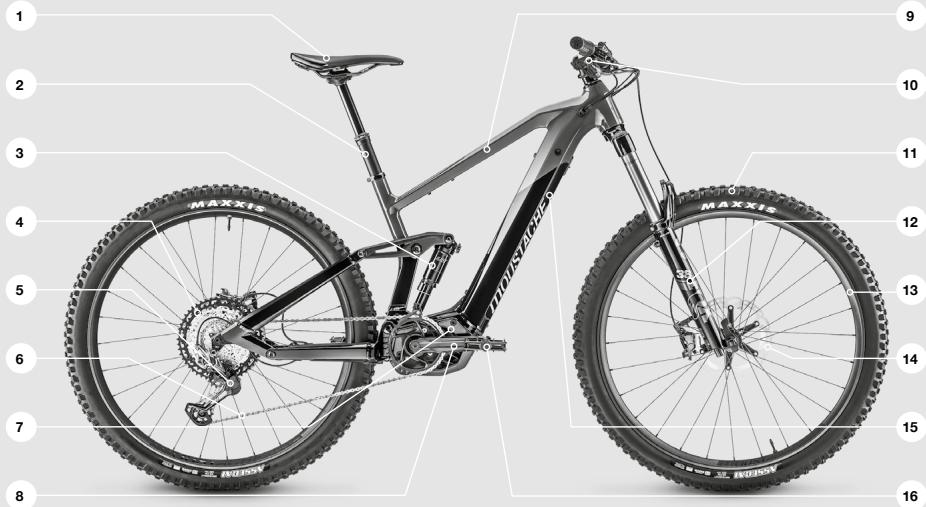 MOUSTACHE SAMEDI - | PER INIZIARE - 2