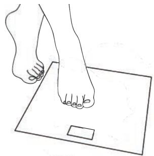 MEDISANA BS 444 - A) Simple weight measurements with the „Step-On“ function - 1