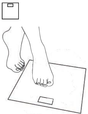 MEDISANA BS 444 - D) Medición del peso con un smartphone y la aplicación VitaDock+ - 3