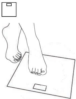 MEDISANA BS 444 - D) Gewichtsmeting met uw smartphone en de VitaDock+ App - 2