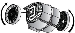 SILVERLINE KALINKA - Remplacement du filtré à charbon - 2