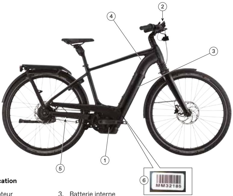 CANNONDALE TESORO NEO - Géométrie - 2