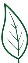 FALMEC MARILYN E.ION - E.ion®System - 1