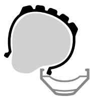 MOUSTACHE DIMANCHE - Montage : - 3