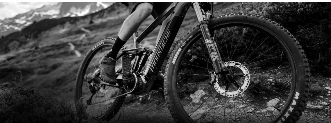 MOUSTACHE DIMANCHE - Para ajustar el nivel de aire del amortiguidor: - 2