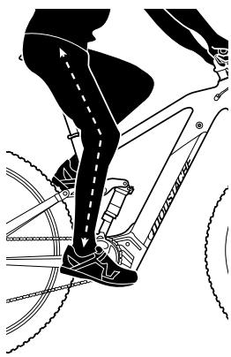 MOUSTACHE DIMANCHE - SATTELHOHE - 1