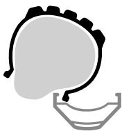 MOUSTACHE DIMANCHE - Montage : - 3