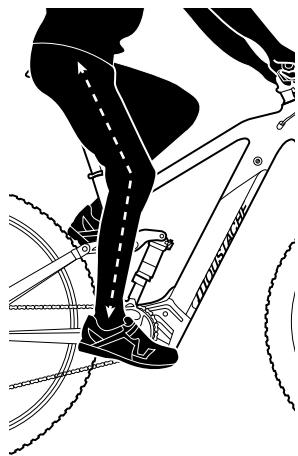 MOUSTACHE DIMANCHE - | POSITION DE CONDUITE - 1