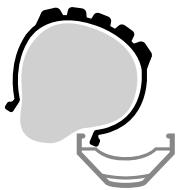 MOUSTACHE DIMANCHE - Monteren: - 3