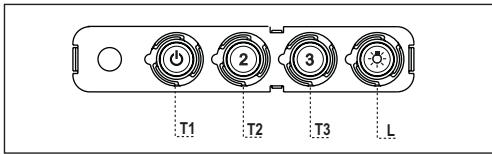 FABER RAY - BACKAPY 3JIEMEHTTEPI - 1