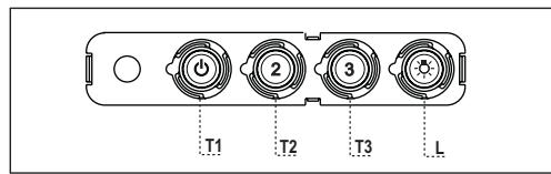 FABER RAY - VALIDYMAS - 1