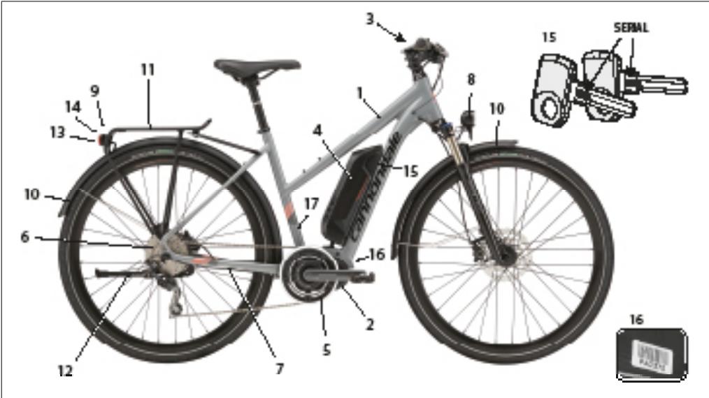 CANNONDALE CANVAS NEO - Avertissement - 1