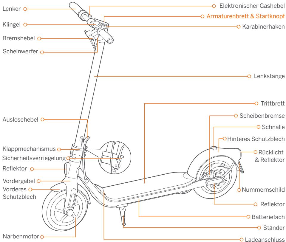 NINEBOT SEGWAY KICKSCOOTER F40E - Diagramm - 1