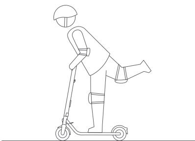 NINEBOT BY SEGWAY E22E 20KM/H - WARNING - 17