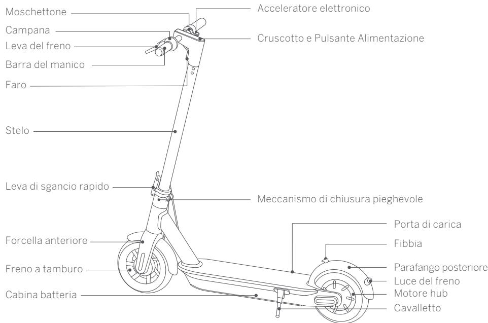 NINEBOT SEGWAY KICKSCOOTER MAX G30E II - Diagramma - 1