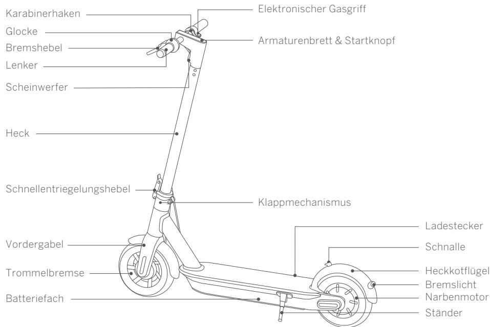 NINEBOT SEGWAY KICKSCOOTER MAX G30E II - Diagramm - 1
