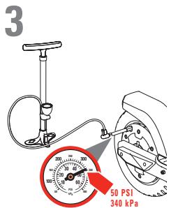 RAZOR C25 - Electric Hub Motor Scooter - 24