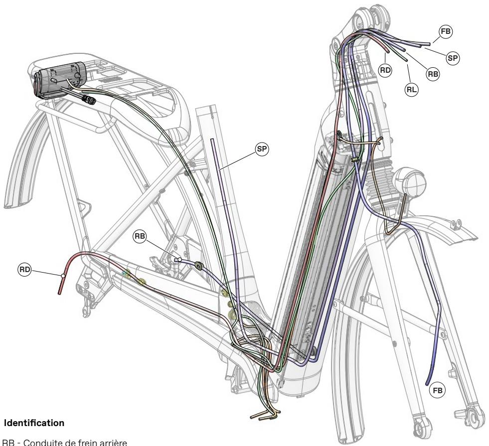 CANNONDALE MAVARO NEO - Avertissement - 1