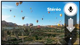 GOPRO MAX CHDHZ-201-RW - Microphones (mode HERO) - 2