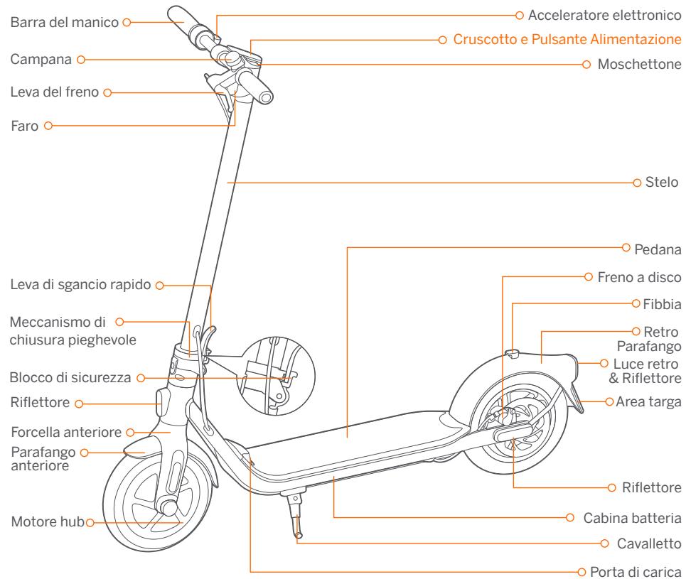 NINEBOT SEGWAY KICKSCOOTER F30D - Diagramma - 1